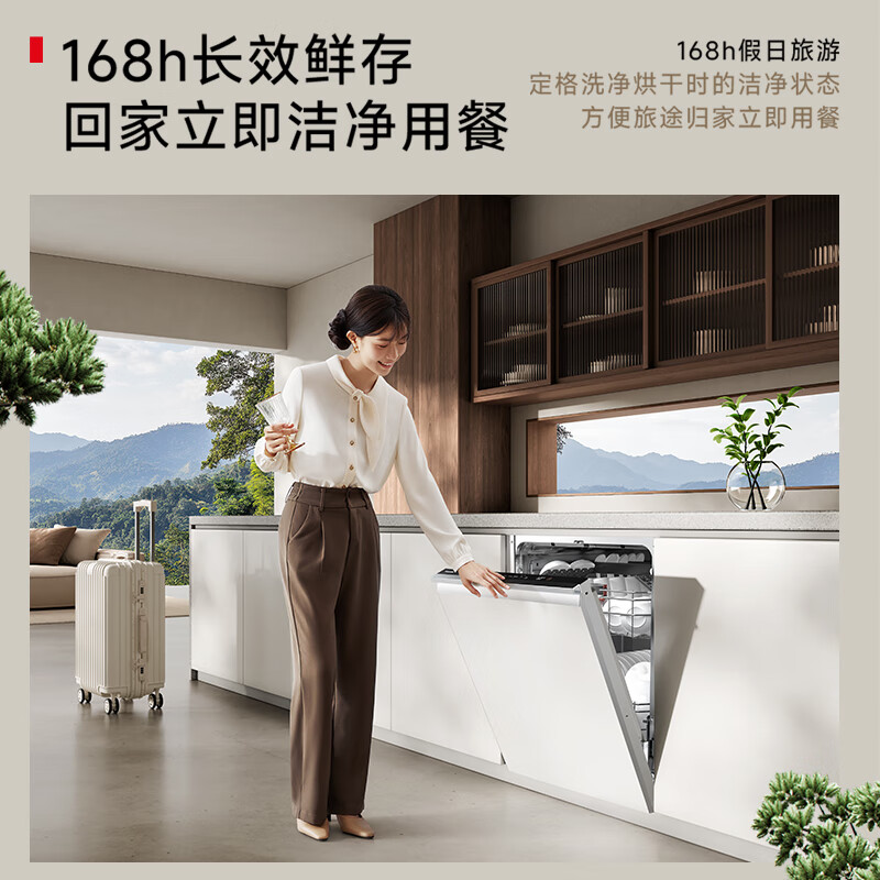 东芝DWTH0Pro-1625洗碗机图片