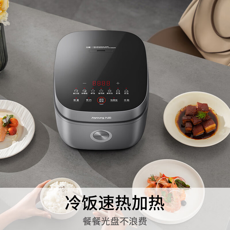 九阳F-40F316L电饭煲图片