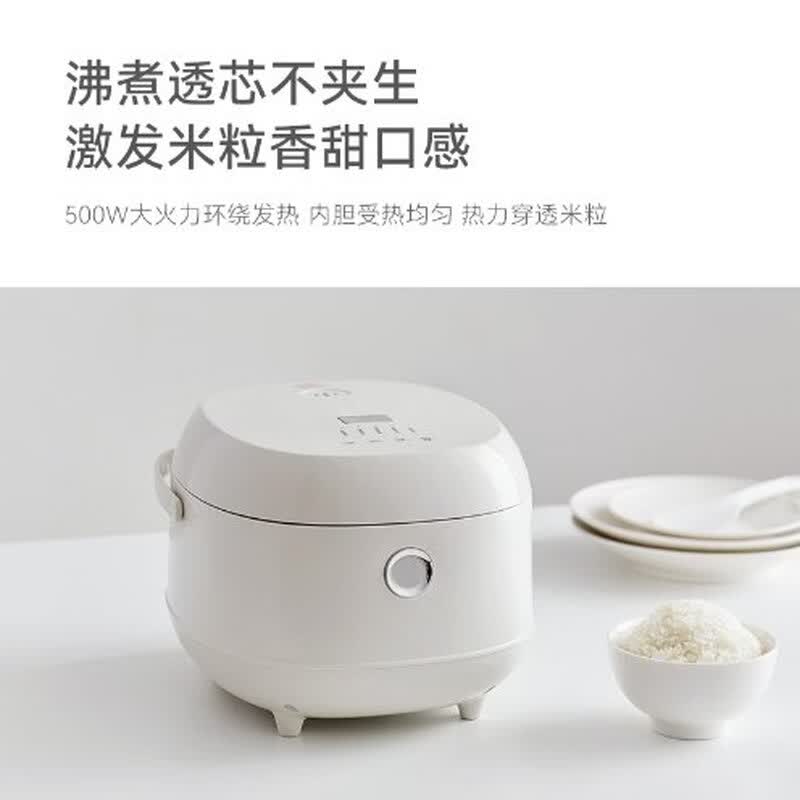 olayks-DFB01101LP电饭煲图片