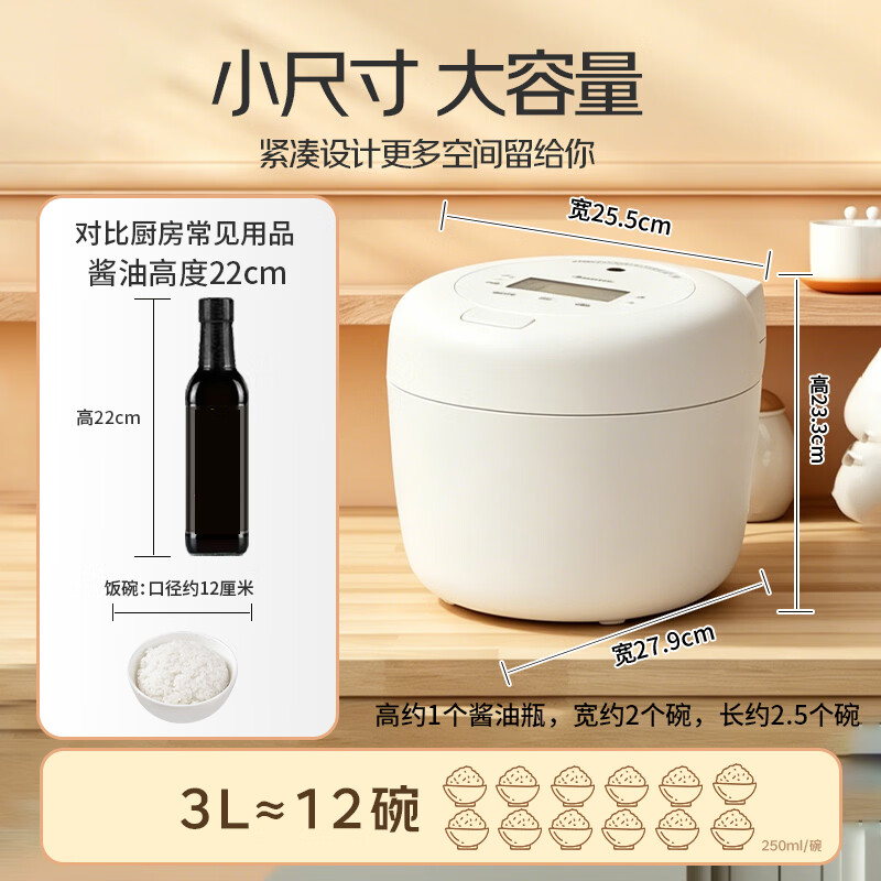 松下SR-H10BEW电饭煲图片