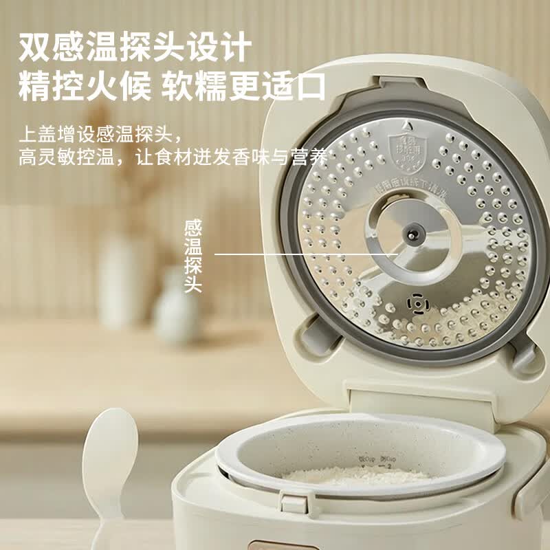 天际BYQC22C30GC电饭煲图片