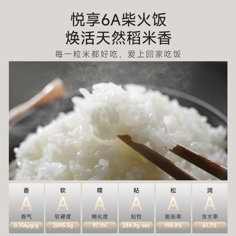 小熊DFB-J40L2电饭煲图片