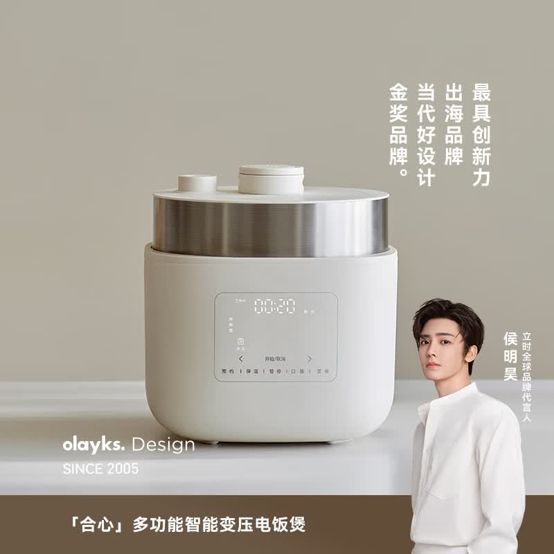 olayks-OLK-405F电饭煲图片