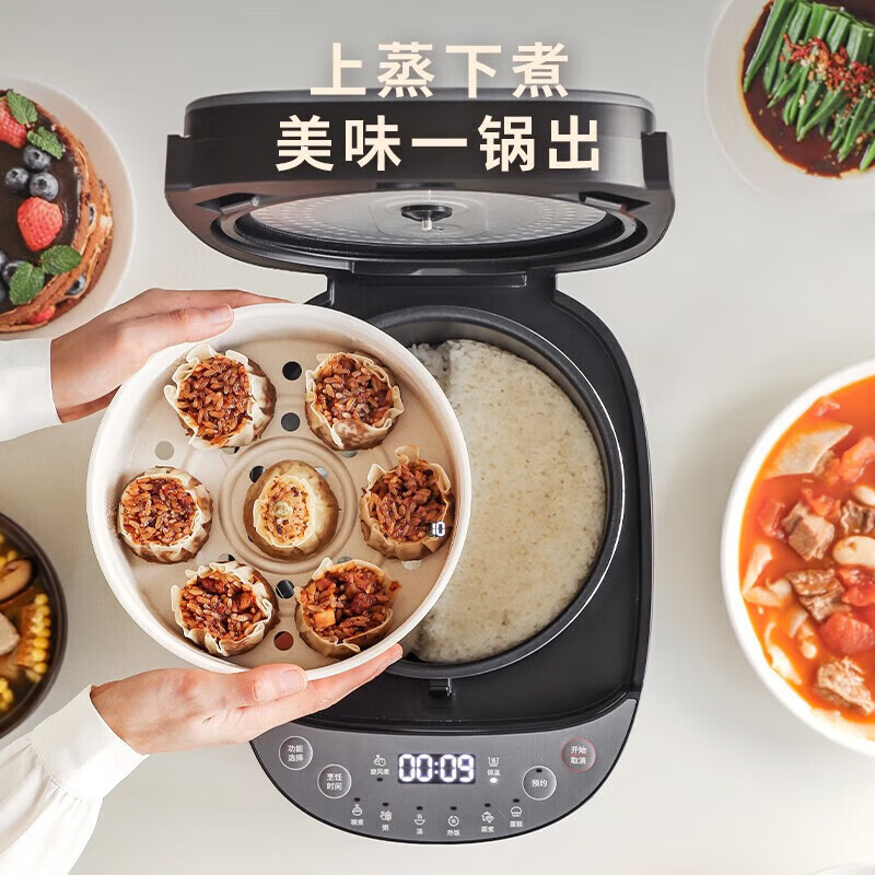 飞利浦HD3169/80电饭煲图片