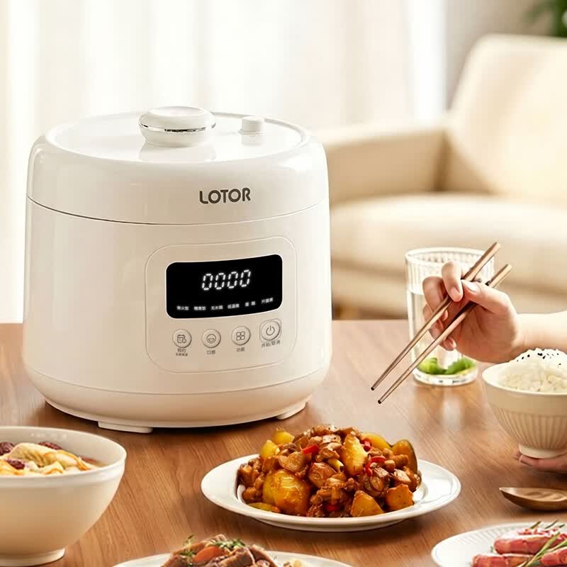 LOTOR徕多LD-YLG-40D电饭煲图片