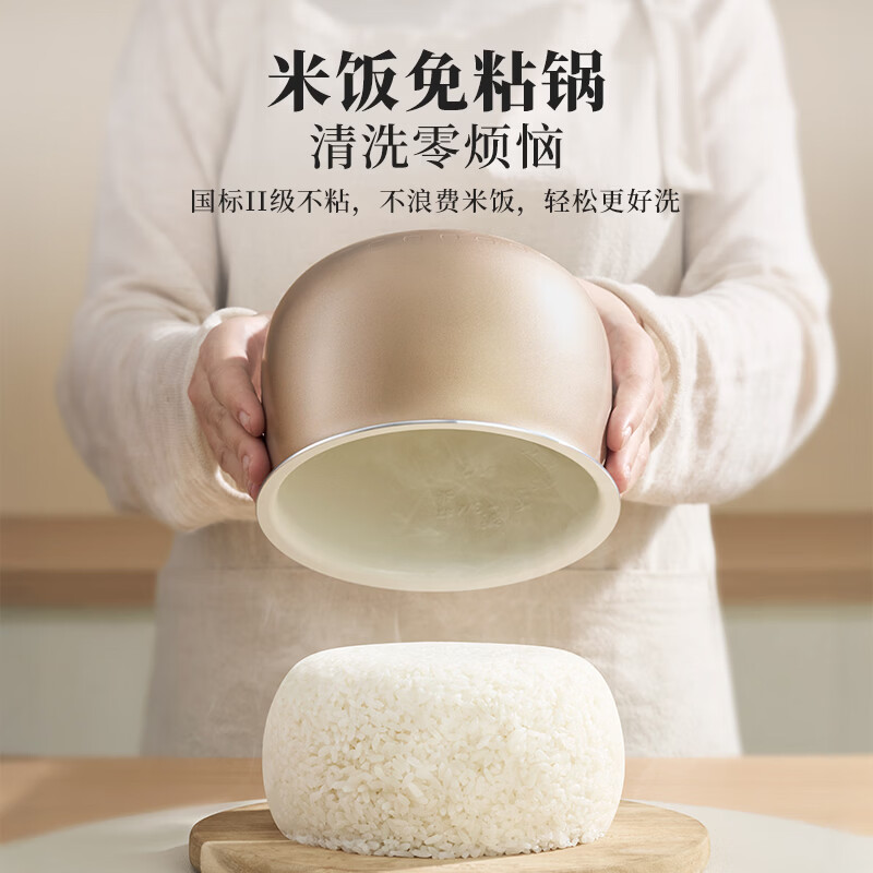 小熊DFB-K16A1电饭煲图片