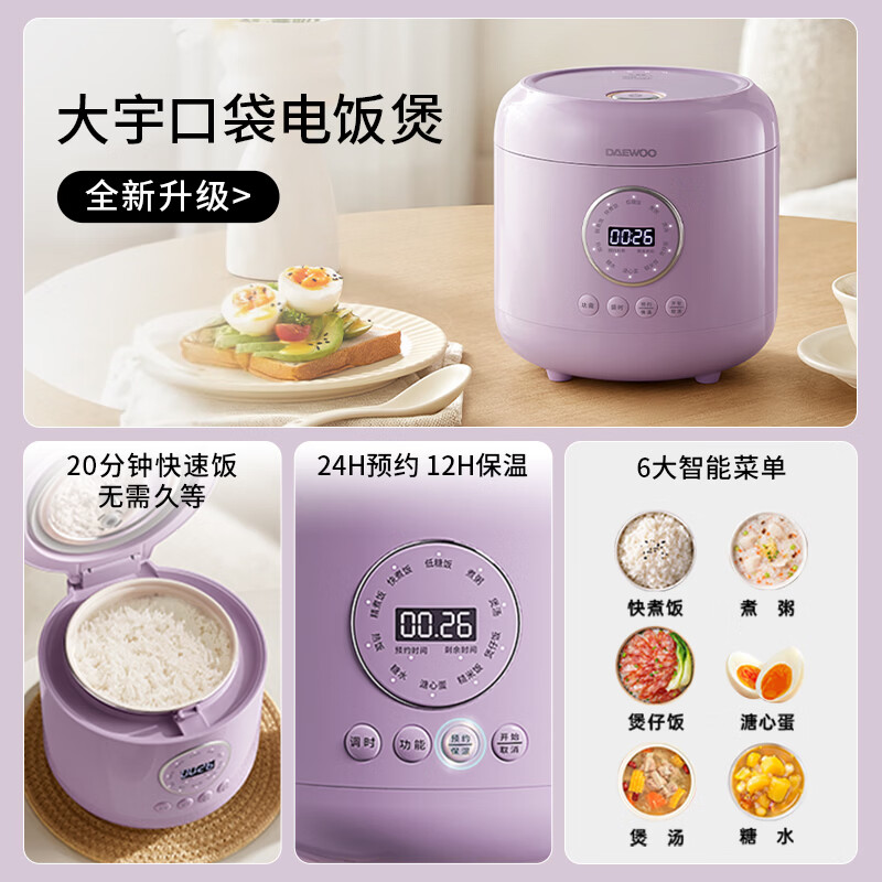大宇DY-FB23-DT电饭煲图片
