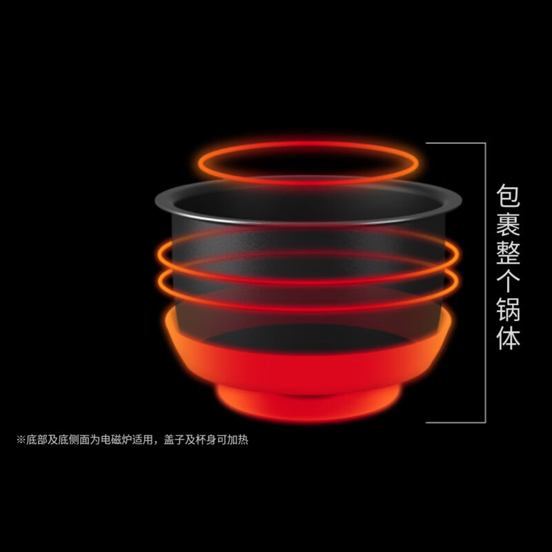 松下SR-N310D-W电饭煲图片