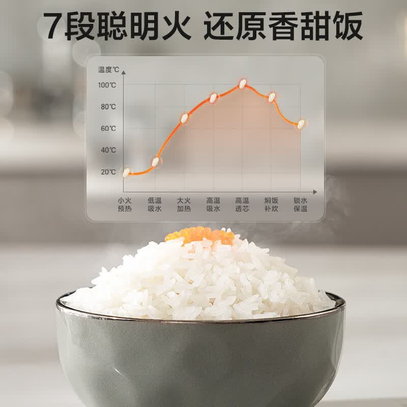 苏泊尔F50F79S电饭煲图片