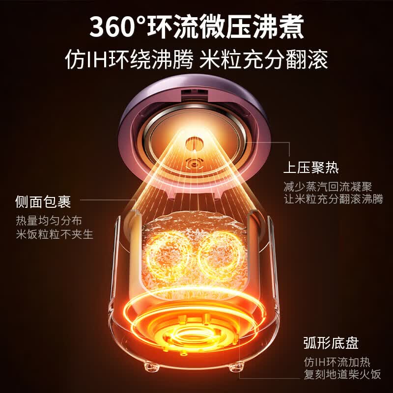 大宇DY-FB23-DT电饭煲图片