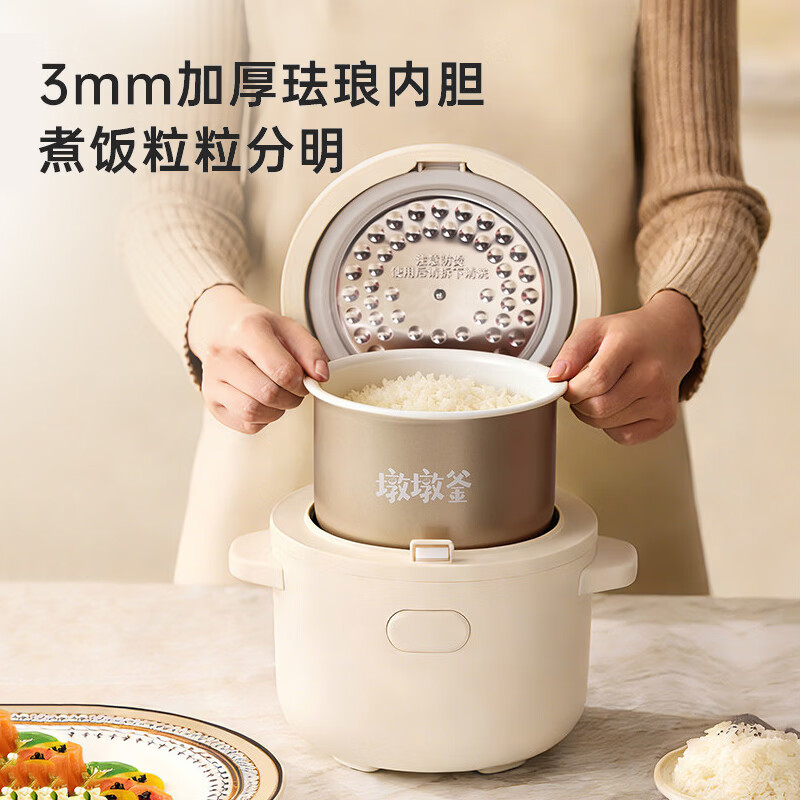 BRUNO-BZK-FB01电饭煲图片