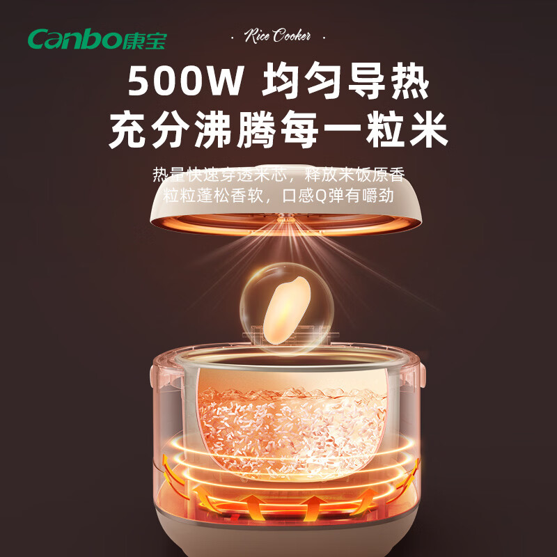 康宝FD305-2404E电饭煲图片