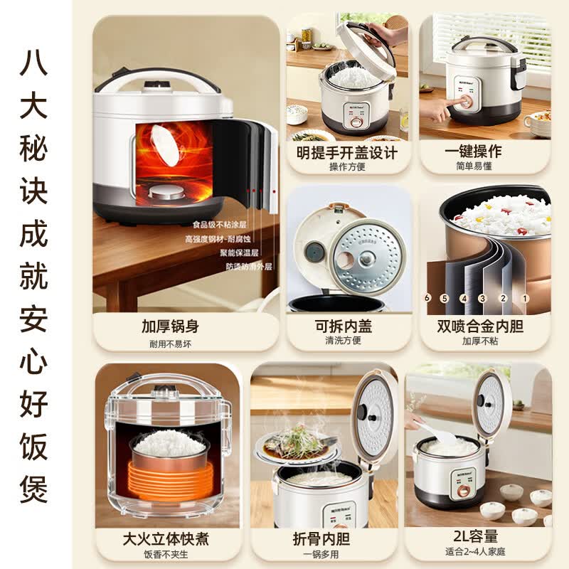 雅乐思YBJ-JD2电饭煲图片