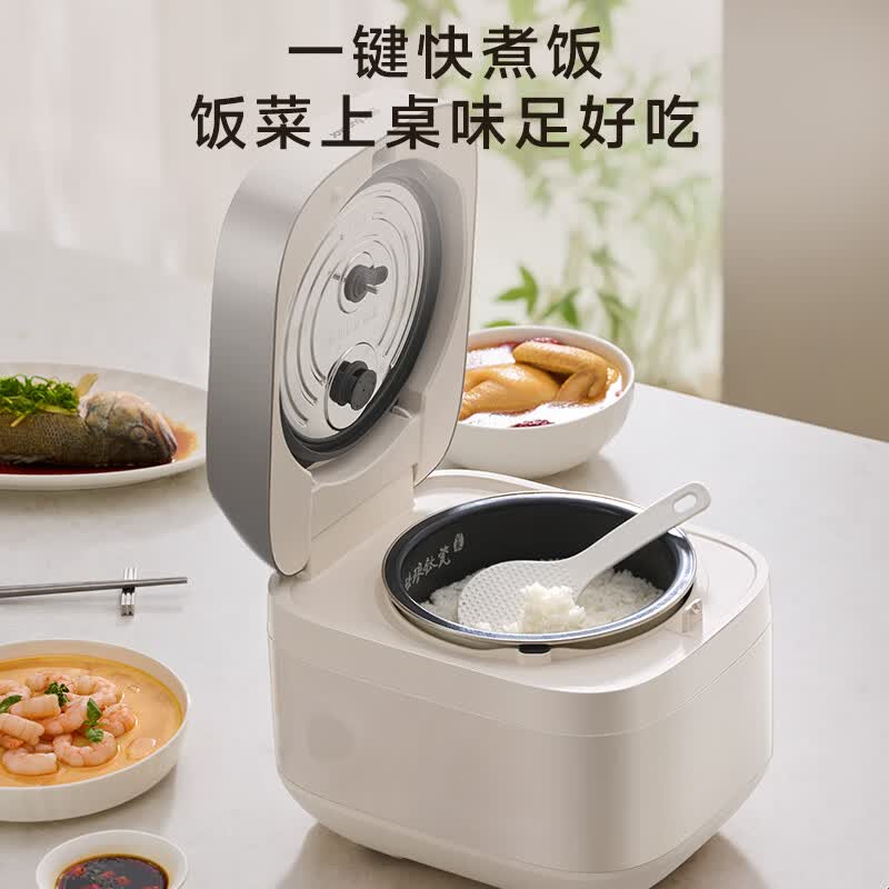 九阳FF-PR1H02(4L)电饭煲图片