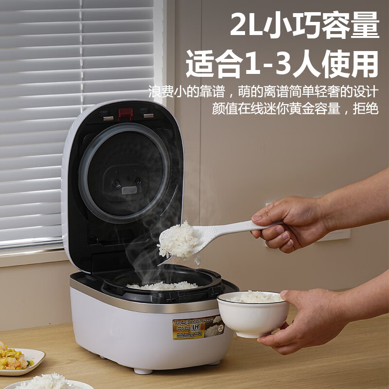 虎牌JPD-A06W-WE电饭煲图片