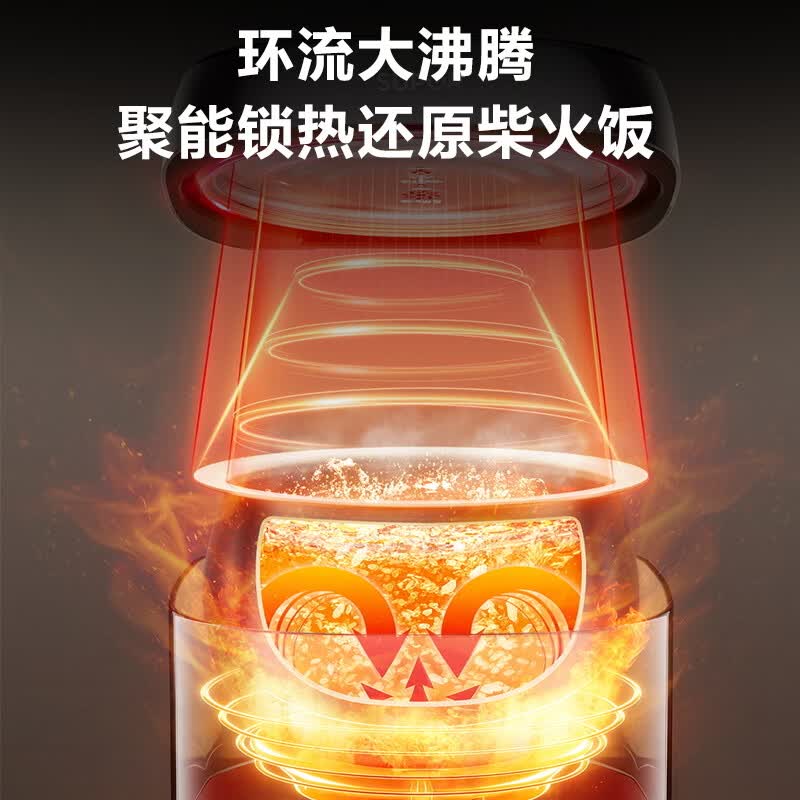 苏泊尔F50X96电饭煲图片