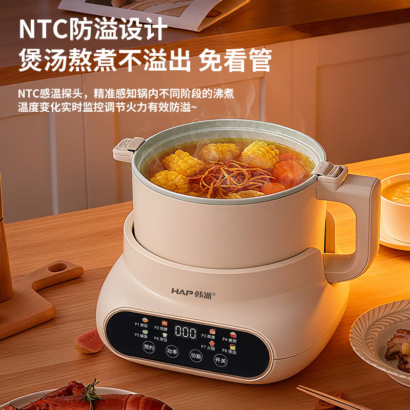 韩派WYG-4电饭煲图片