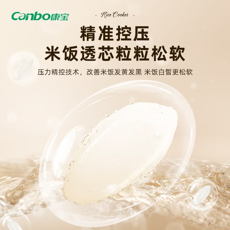 康宝FD305-2404E电饭煲图片