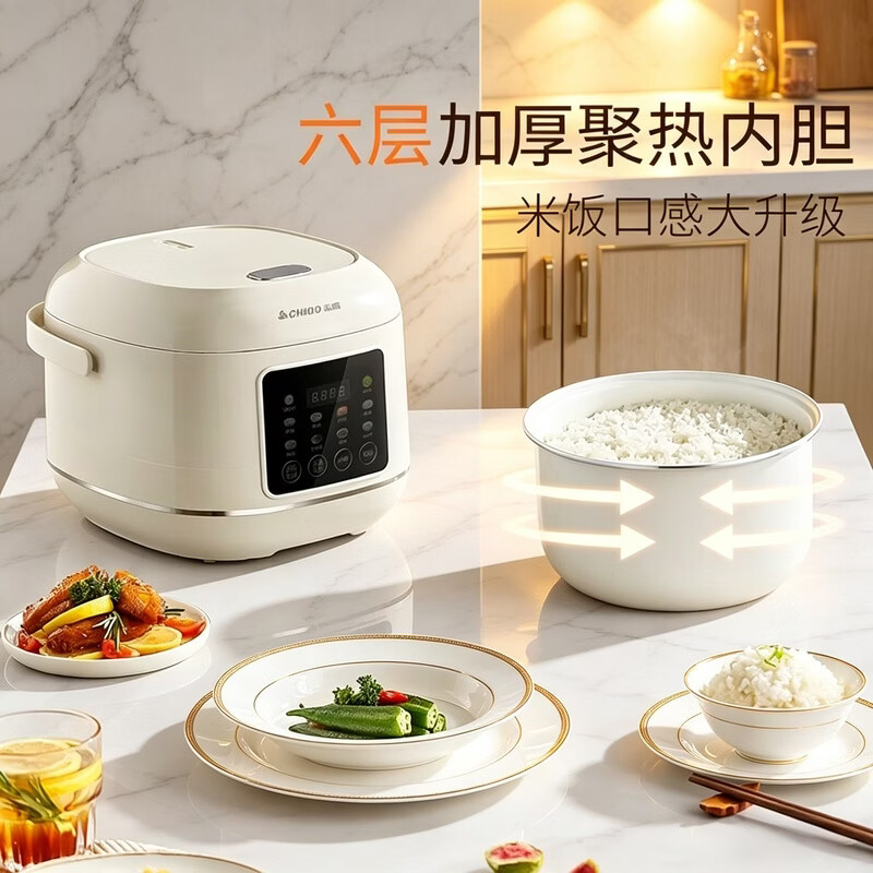 志高FD407-2404B电饭煲图片