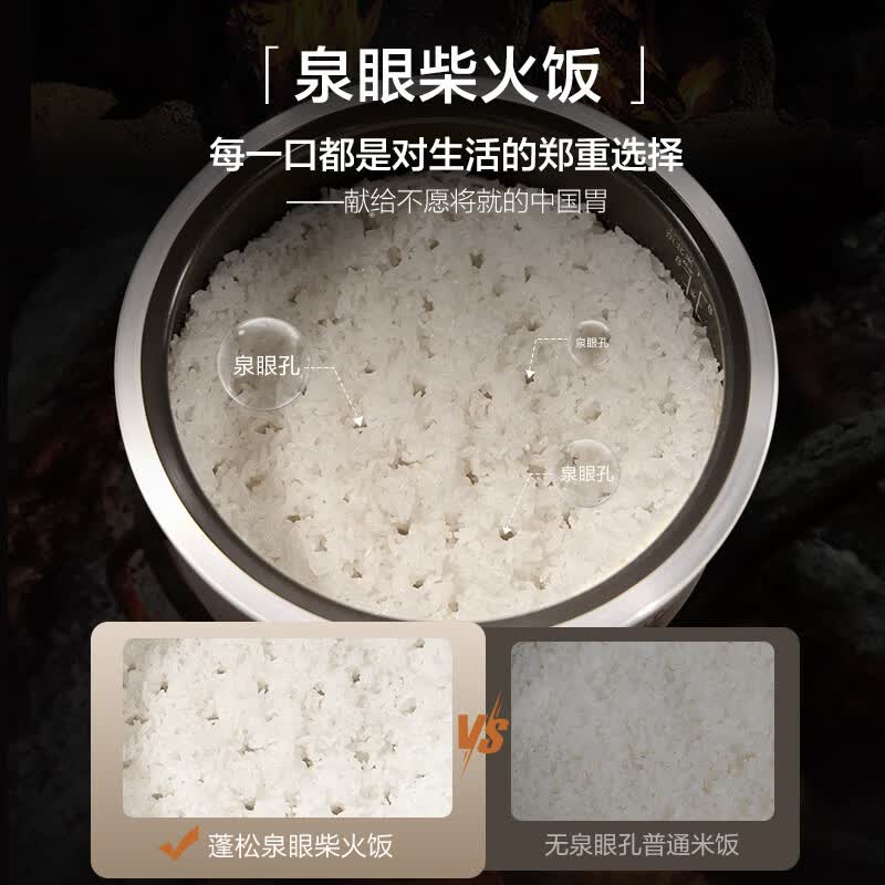苏泊尔F40H95电饭煲图片