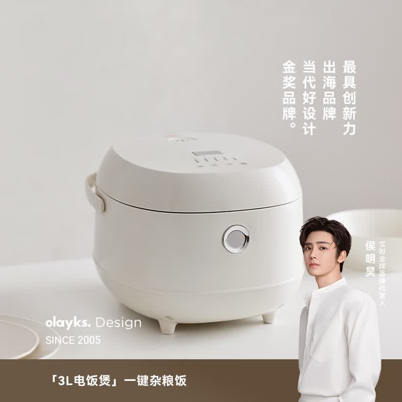 olayks-DFB01101LP电饭煲图片