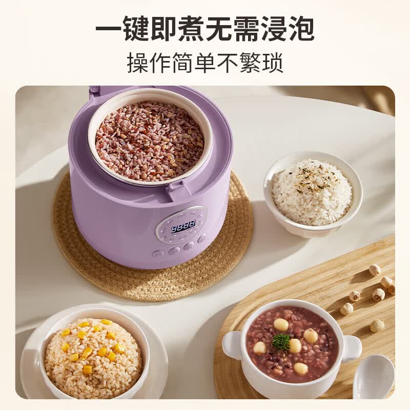大宇DY-FB23-DT电饭煲图片