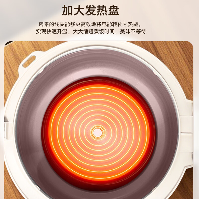雅乐思YBJ-JD2电饭煲图片