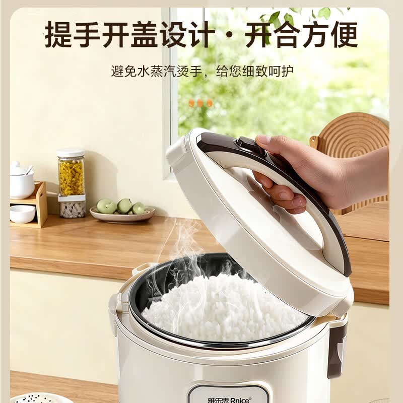 雅乐思YBJ-JD2电饭煲图片