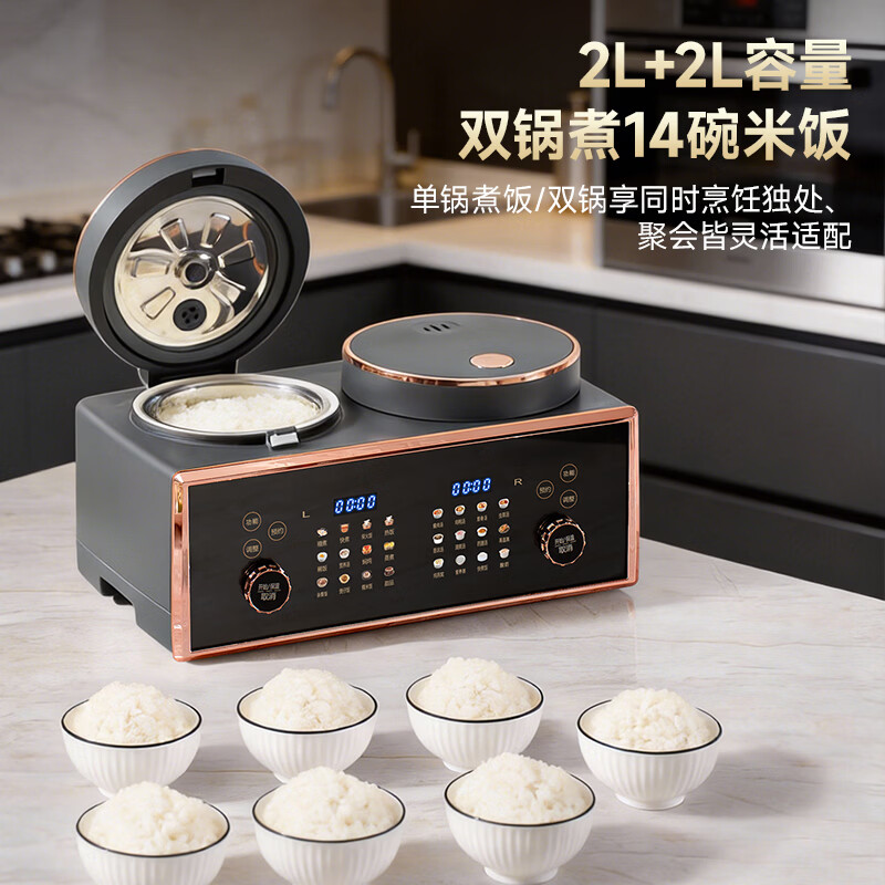 德萨帝DA-9D电饭煲图片