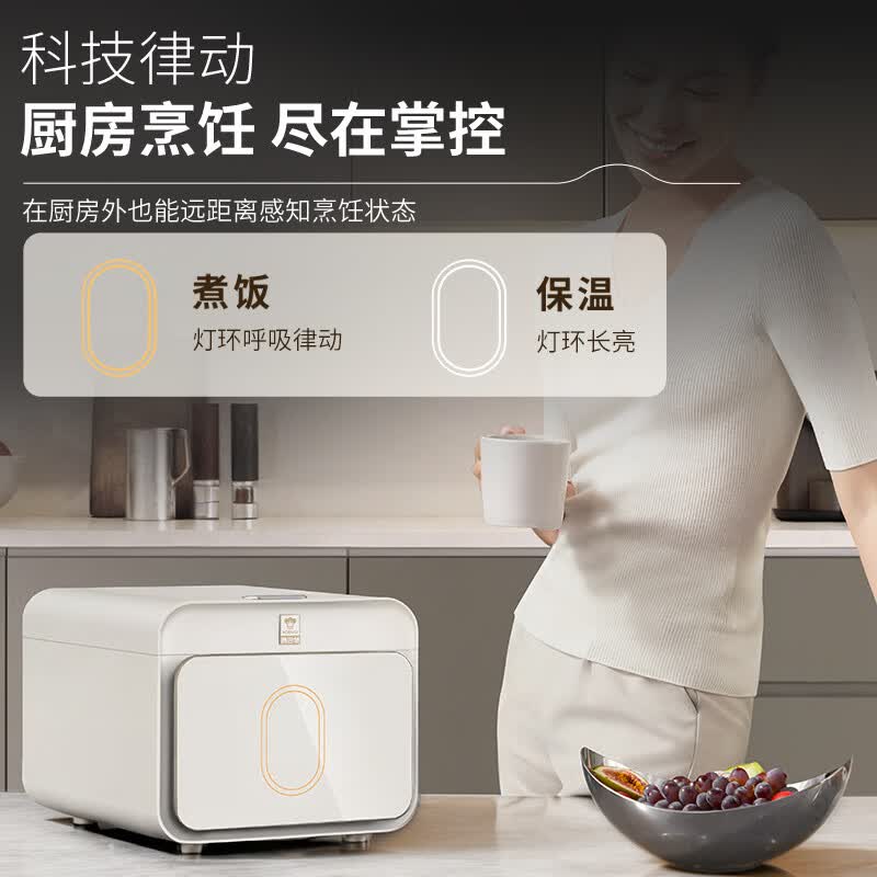康巴赫KF-40FC01A电饭煲图片