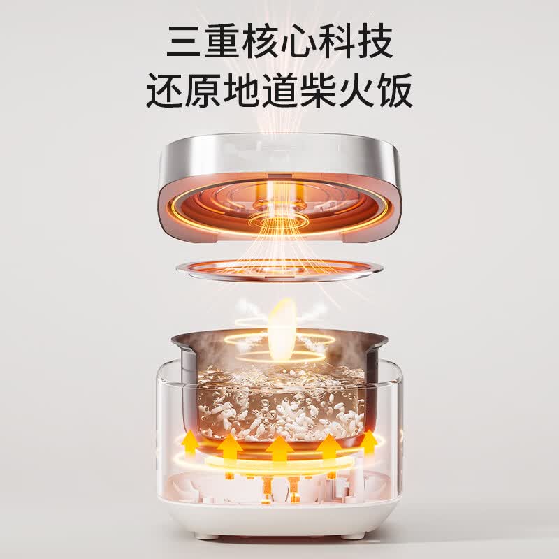 九阳F-30FZ630B电饭煲图片