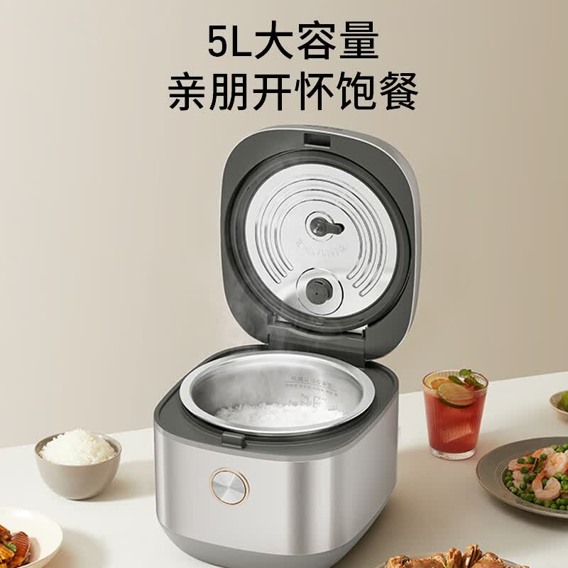 九阳F-50F329L电饭煲图片