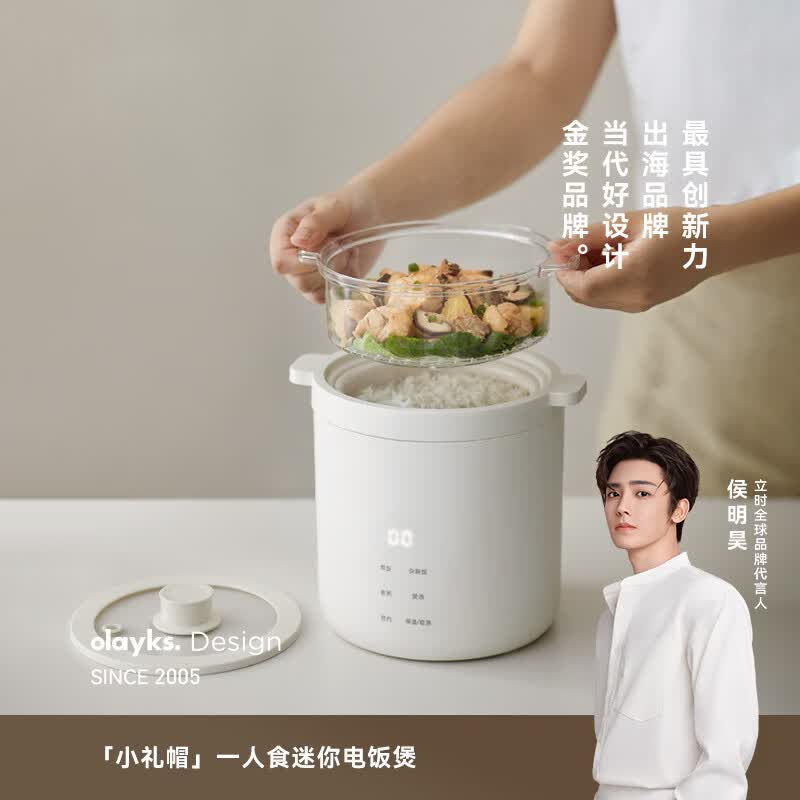 olayks-OLK-05-02A电饭煲图片