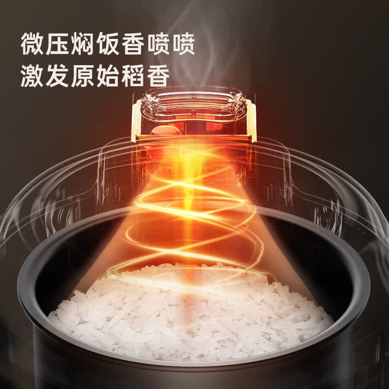 BRUNO-BZK-FB01电饭煲图片