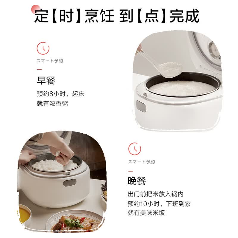 松下SR-DL101电饭煲图片