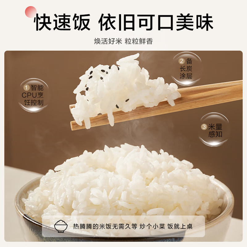松下SR-DL101电饭煲图片