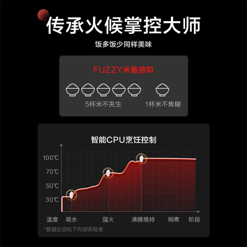 松下SR-DL101电饭煲图片