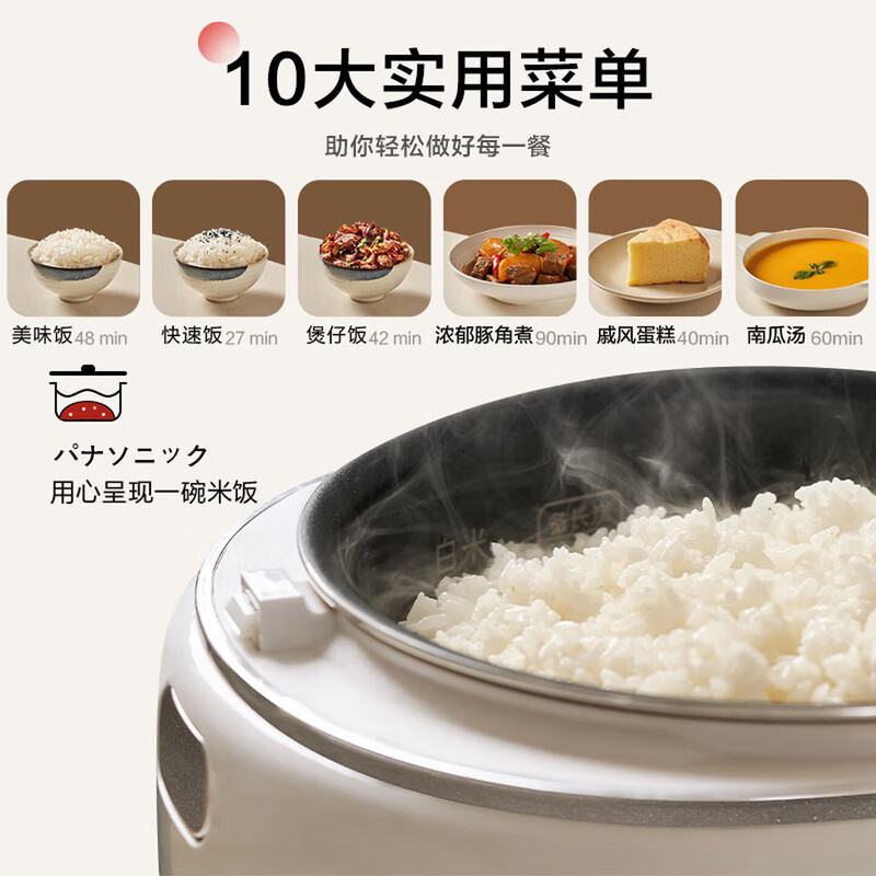 松下SR-DL101电饭煲图片