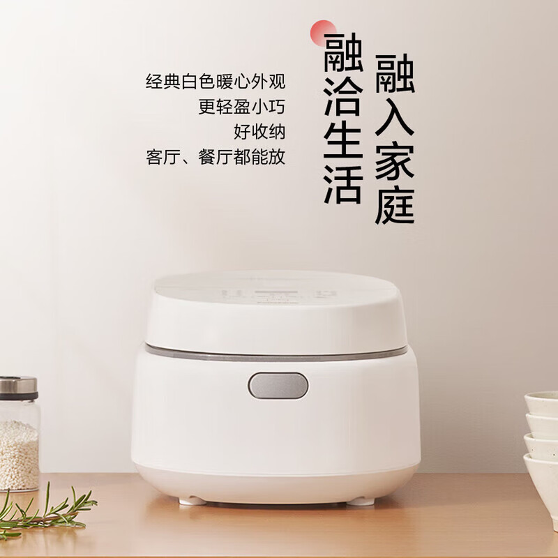 松下SR-DL101电饭煲图片