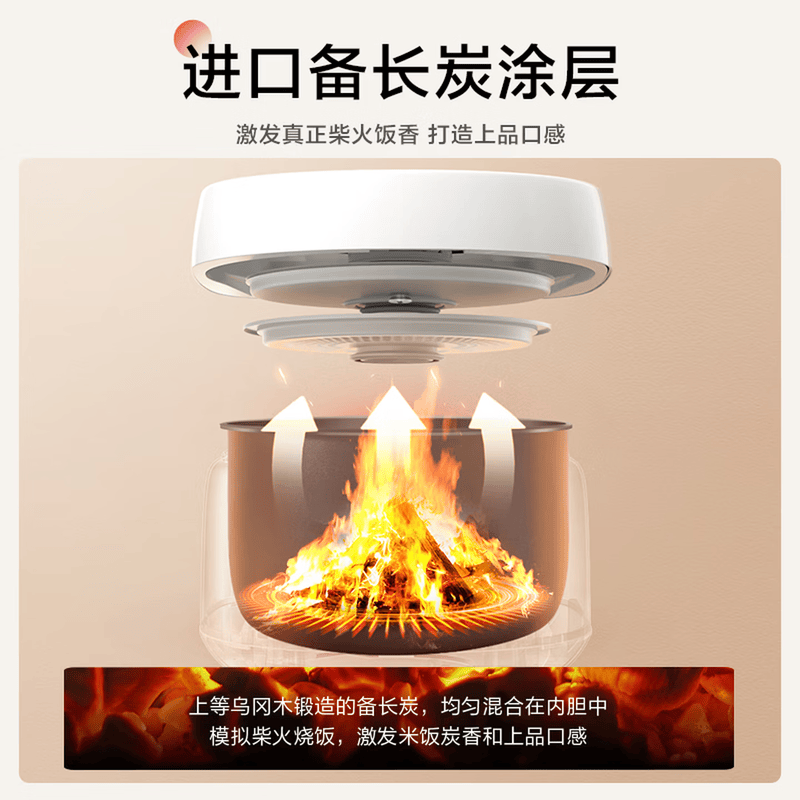 松下SR-DL101电饭煲图片