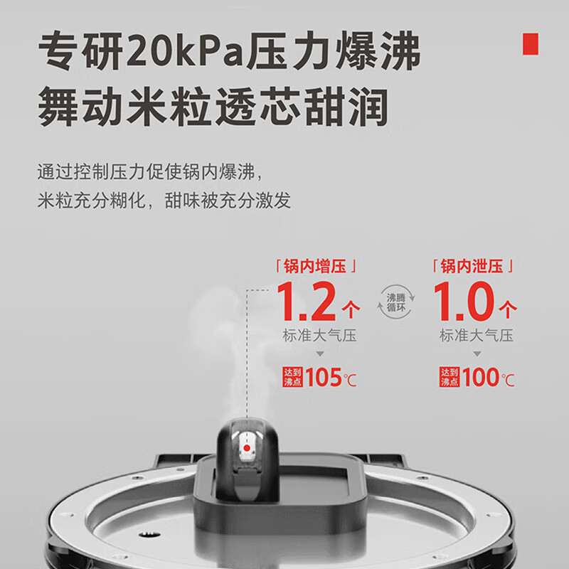 东芝RC-10ZWSC电饭煲图片