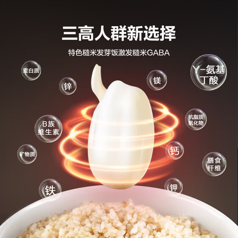 大松格力GDCF-4009C电饭煲图片