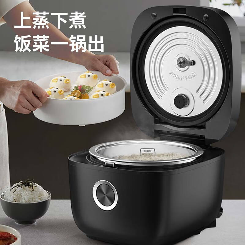 九阳F-50F316L电饭煲图片