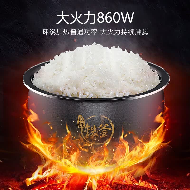 九阳F-40TD02电饭煲图片