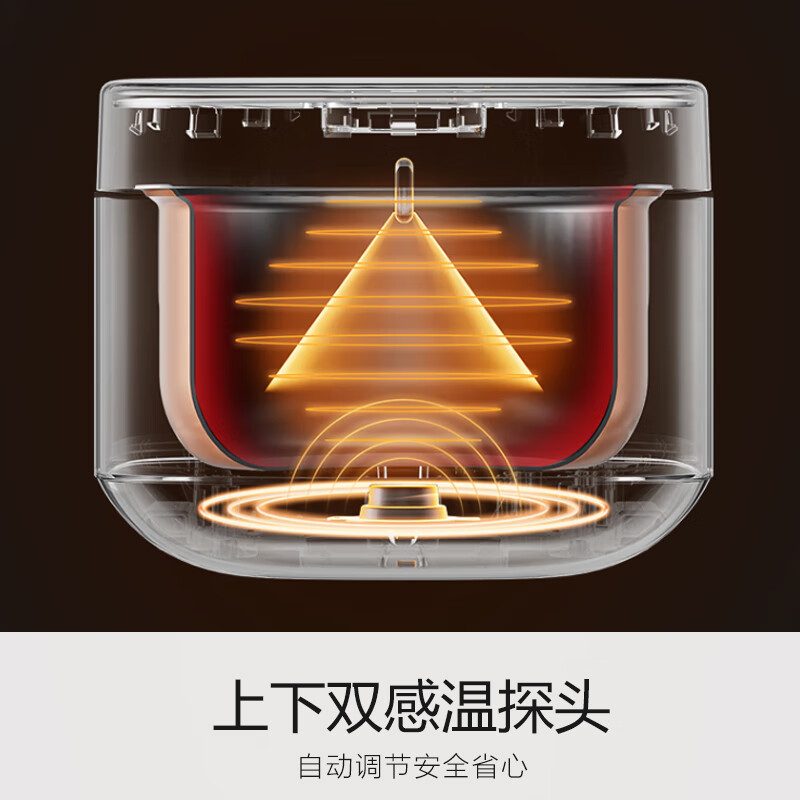 九阳F-30FZ630电饭煲图片