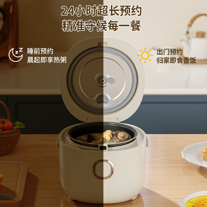 奥克斯AFB-YY-20FS34电饭煲图片