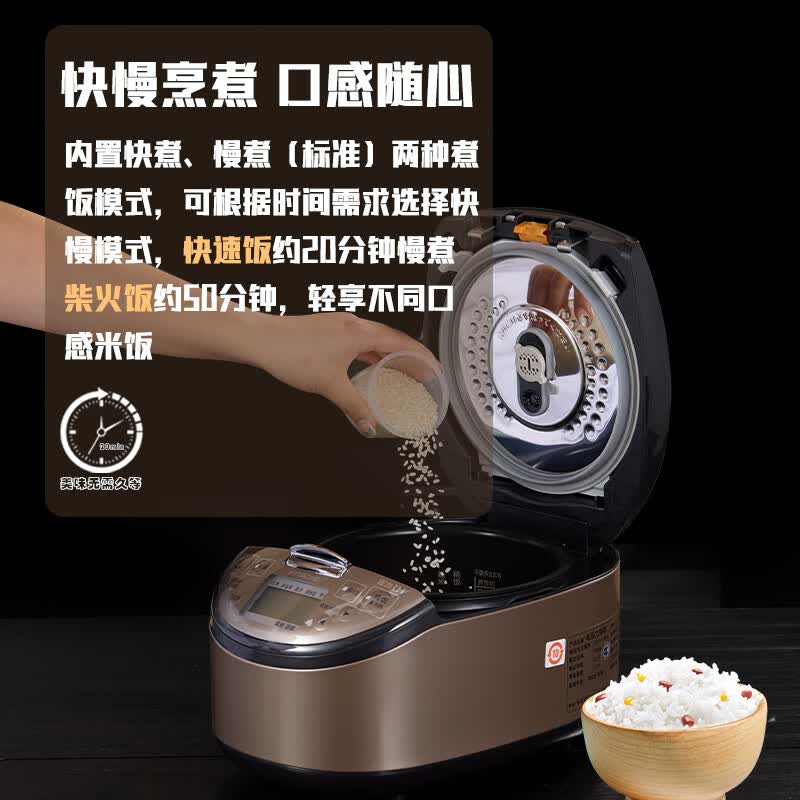 日立RZ-G10EC电饭煲图片