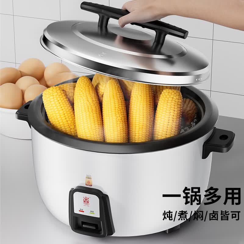 三角牌TG-G13010ZK电饭煲图片