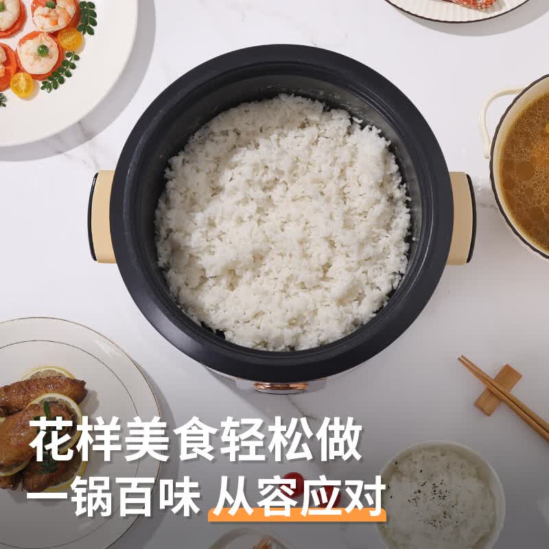 三角牌TG-Z30X13H电饭煲图片