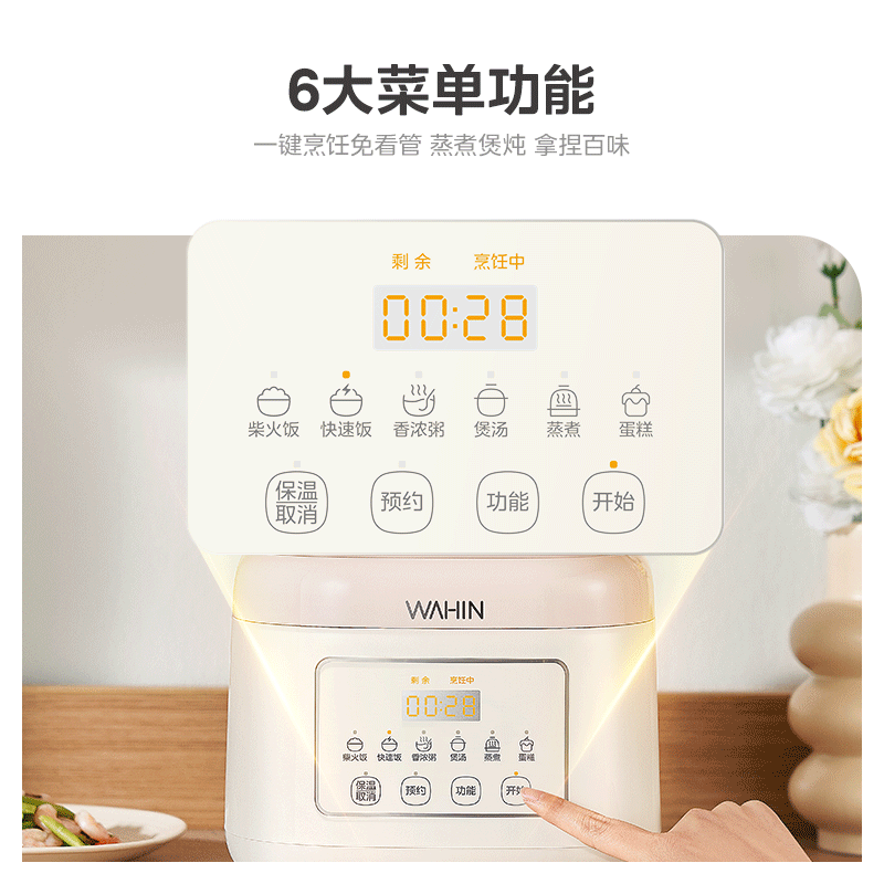 华凌WH-FB302R电饭煲图片